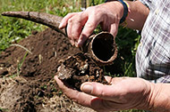 biodynamische wijn