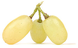 witte wijn