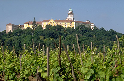 pannonhalma wijn