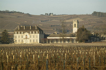 bourgogne chardonnay