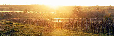 burgenland