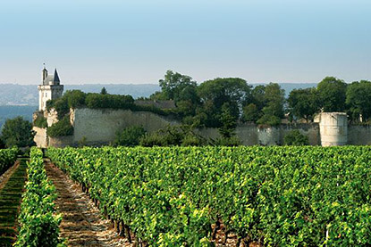 bourgueil chateau