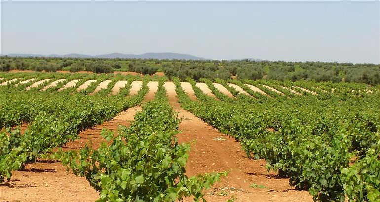 extremadura wijn