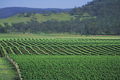 hunter valley