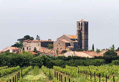 minervois wijn