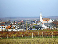 mittelburgenland wijn