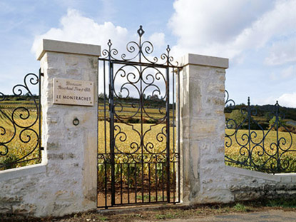 montrachet
