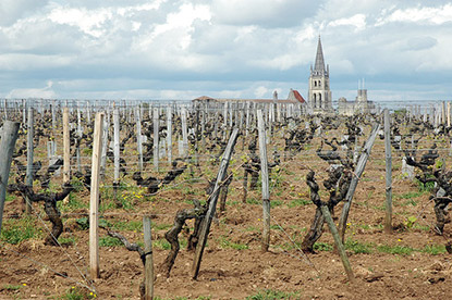 bordeaux