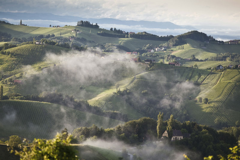 steiermark wijn kopen