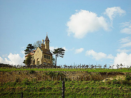zierfandler wijn thermenregion