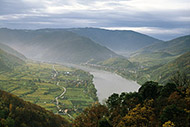 wachau wijn