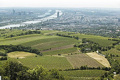 wenen-wijn