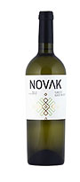Novak Floricica-Alb de Onițcani