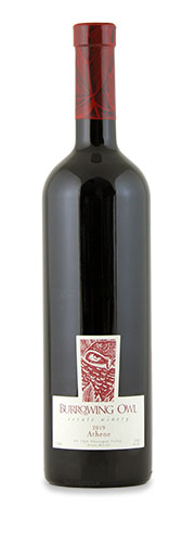 Burrowing Owl Athene