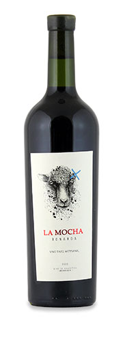 Cosmos La Mocha Tinto