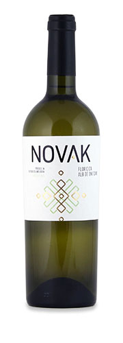 Novak Floricica-Alb de Onițcani