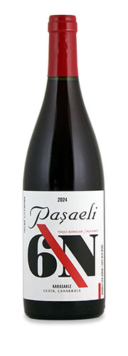 Paşaeli '6N' Karasakiz