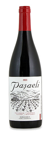 Paşaeli Karazakiz Old Vines