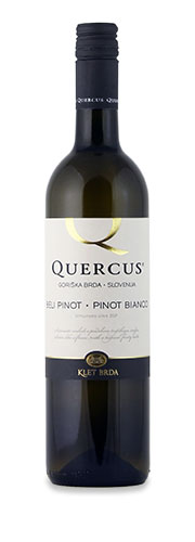 Quercus Pinot Blanc
