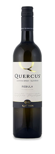 Quercus Rebula