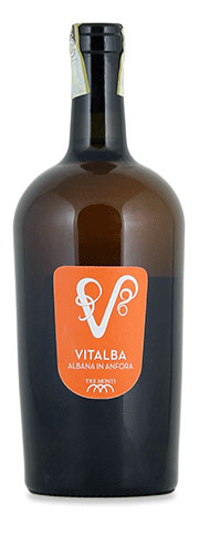 Vitalba Albana in Anfora