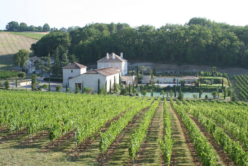 Wijn uit Gaillac kopen