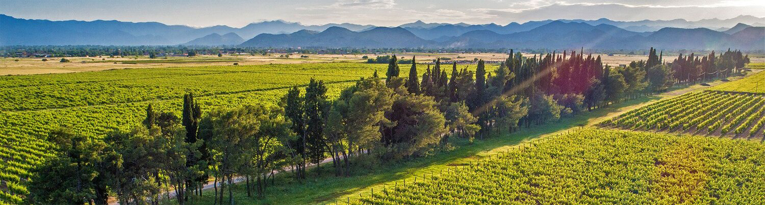 Montenegro wijn kopen