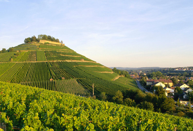 Wijn uit Wurttemberg