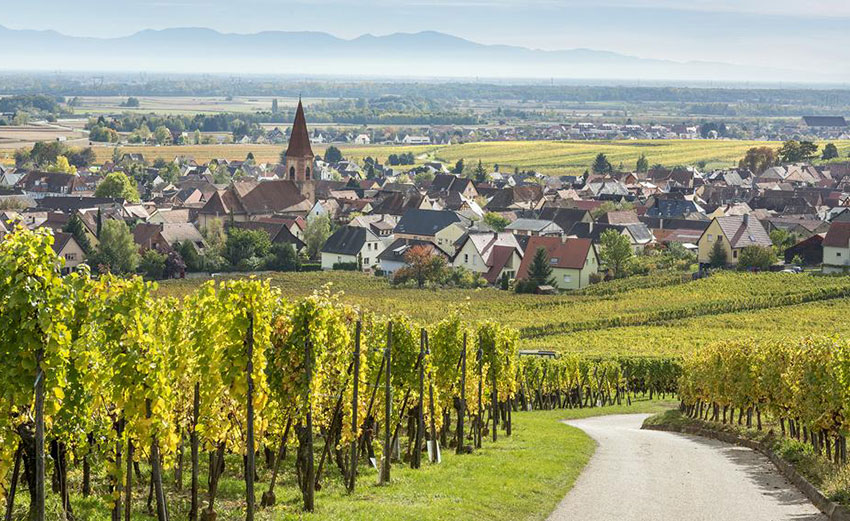 wijn uit elzas kopen