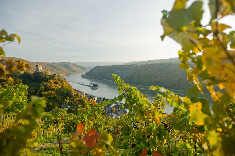 wijn uit mittelrhein