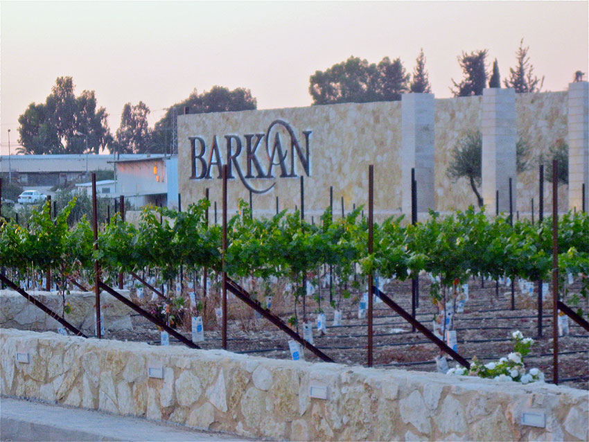 Israelische wijn van Barkan kopen