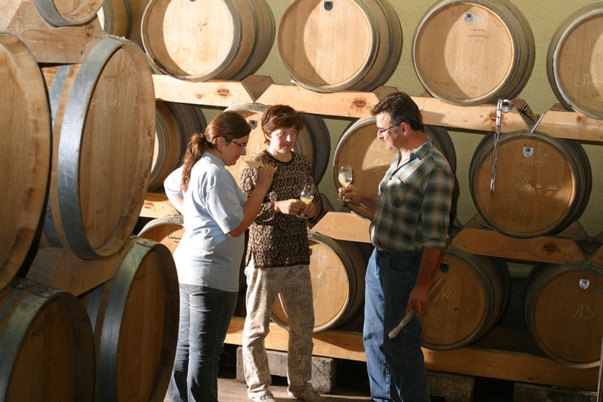 Wijn van Domaine d'Escausses kopen