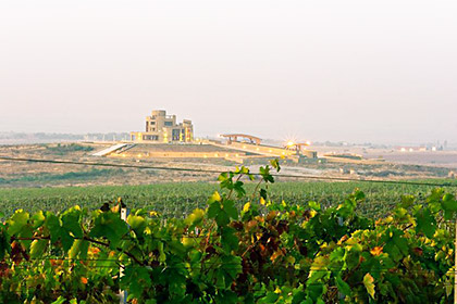 edoardo miroglio wijn