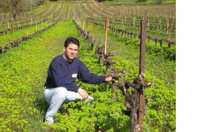 Estate Constantin Gofas