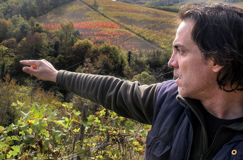 Fernando Principiano wijn kopen