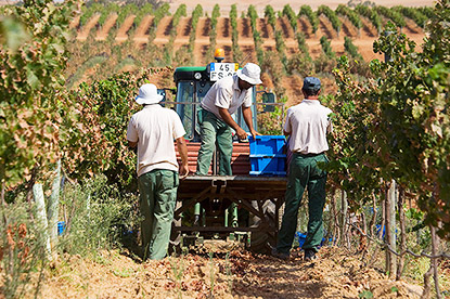 Herdade dos Grous wijn