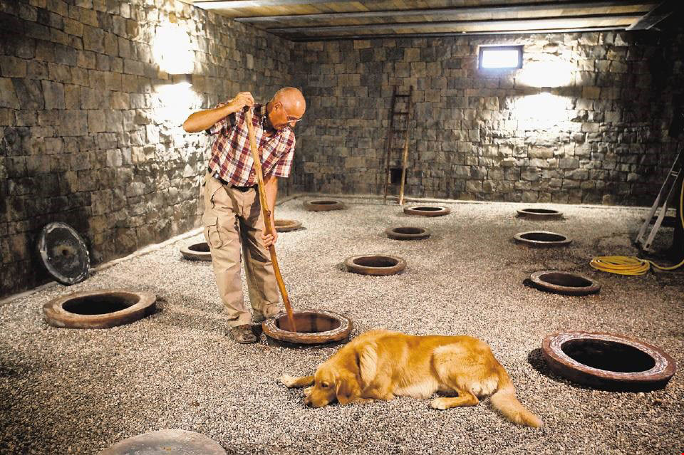 Alle informatie over de wijnen van Josko Gravner