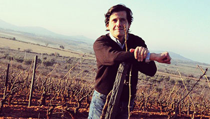 vinhos do vale do douro