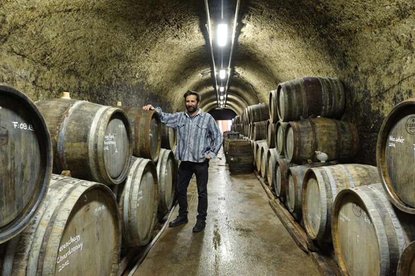 Hongaarse wijn van St. Andrea kopen