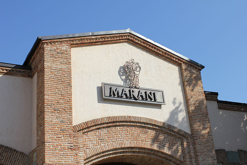 wijn van Telavi Marani Wine Cellar kopen
