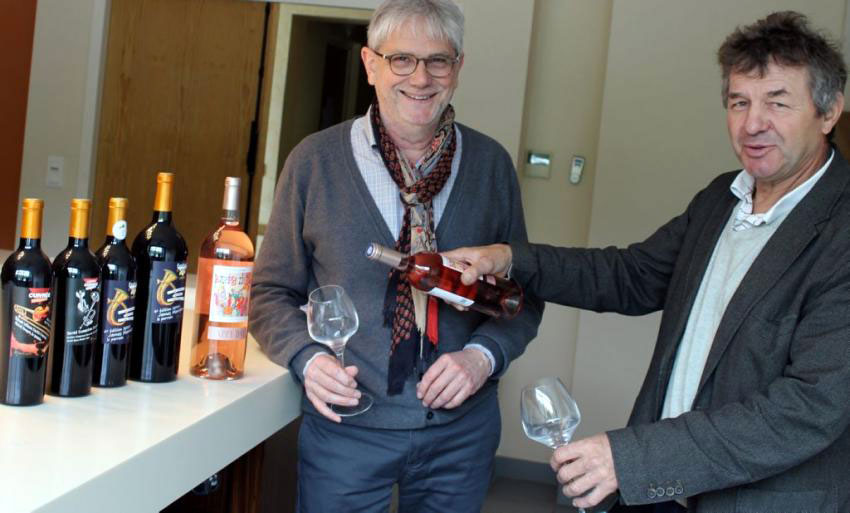 anne de joyeuse wijn kopen