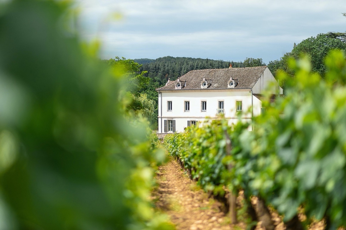 Alle informatie over de wijnen van Ch&acirc;teau de Garnerot