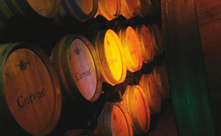 Corvus Turkse wijn kopen