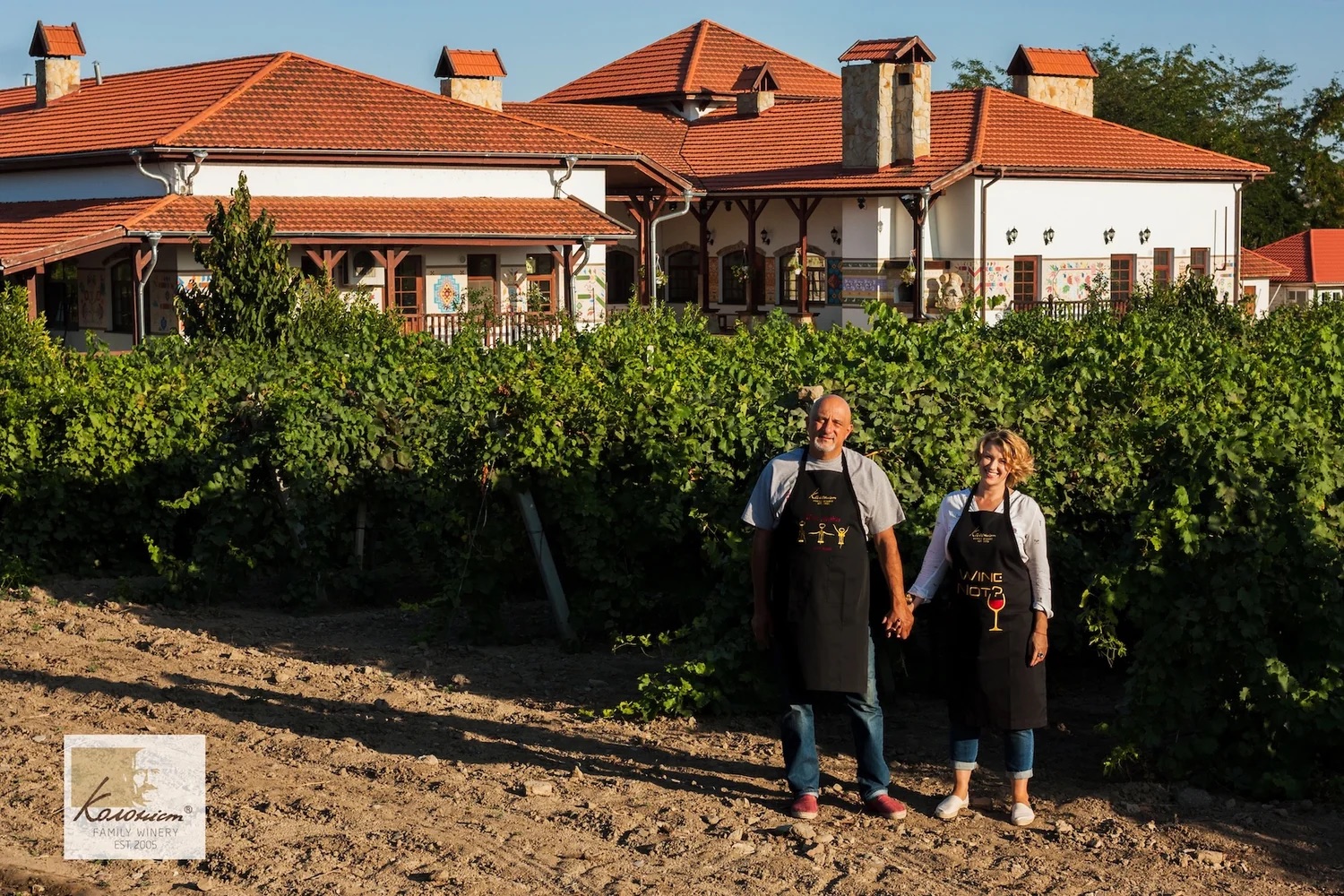 Alle informatie over de wijnen van Kolonist Winery