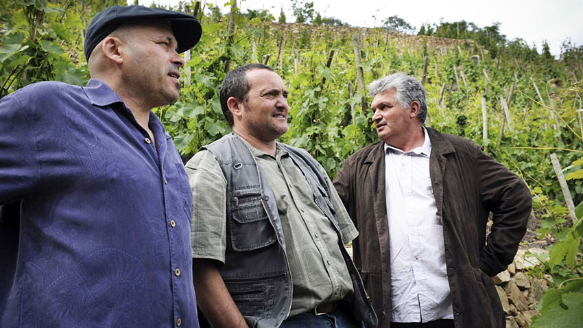 Wijn van Les vins de vienne kopen