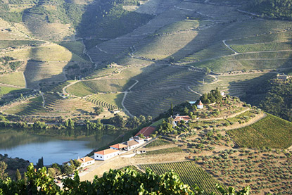 quinta do crasto wijn